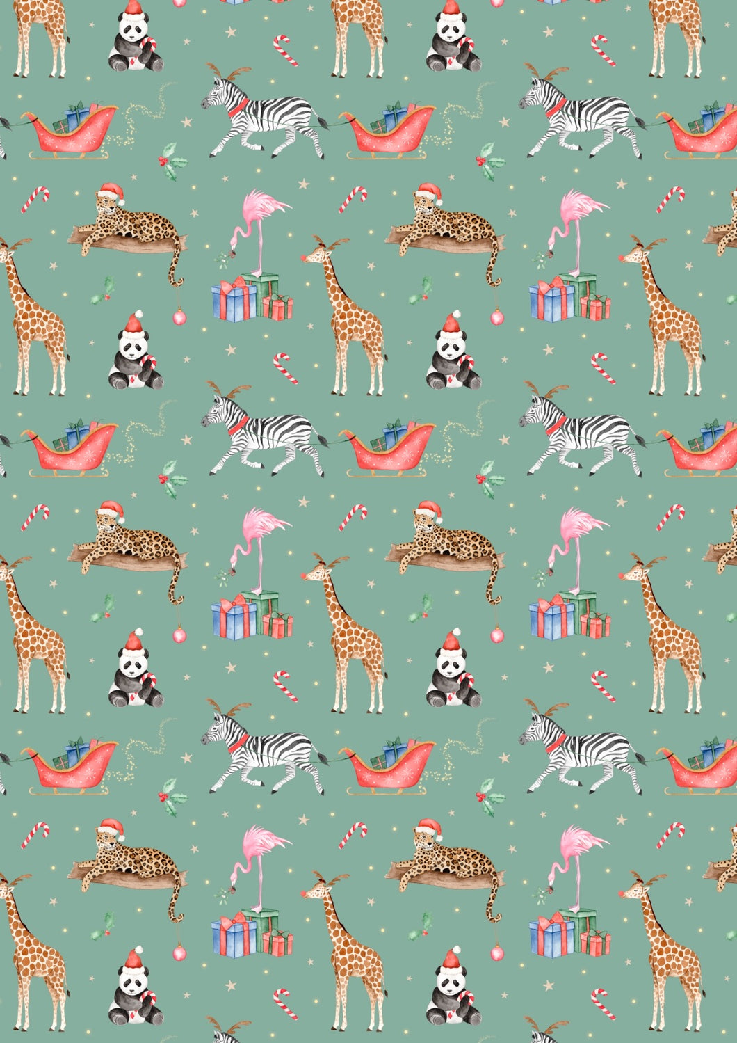 Ex. Christmas Safari