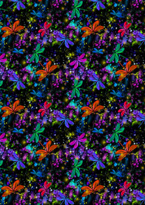Colourful Dragonflies