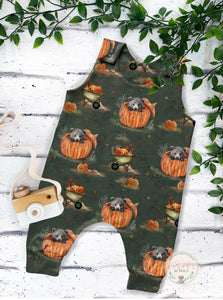 Exclusive Bear in Pumpkin